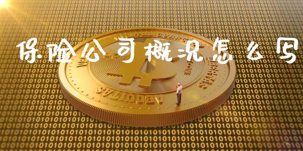 保险公司概况怎么写_https://cj.lansai.wang_保险问答_第1张