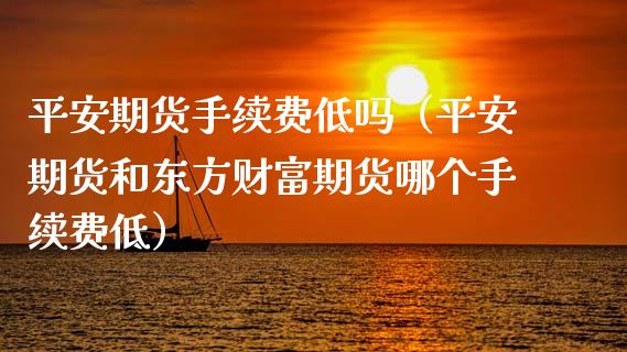 平安期货手续费低吗（平安期货和东方财富期货哪个手续费低）_https://cj.lansai.wang_理财问答_第1张