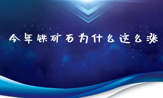 今年铁矿石为什么这么涨_https://cj.lansai.wang_保险问答_第1张