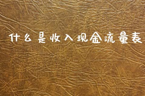 什么是收入现金流量表_https://cj.lansai.wang_会计问答_第1张