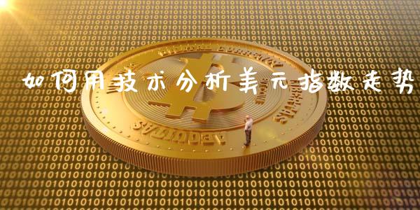 如何用技术分析美元指数走势_https://cj.lansai.wang_期货问答_第1张