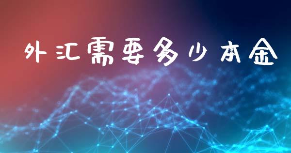 外汇需要多少本金_https://cj.lansai.wang_财经问答_第1张