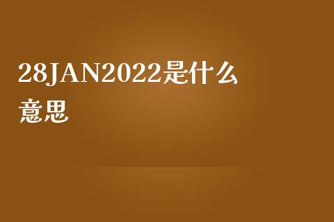 28JAN2022是什么意思_https://cj.lansai.wang_保险问答_第1张