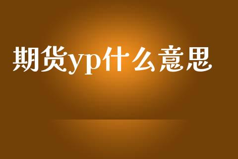 期货yp什么意思_https://cj.lansai.wang_股市问答_第1张