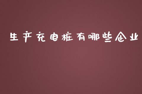 生产充电桩有哪些企业_https://cj.lansai.wang_会计问答_第1张