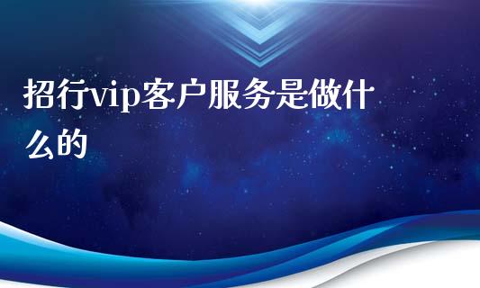 招行vip客户服务是做什么的_https://cj.lansai.wang_金融问答_第1张