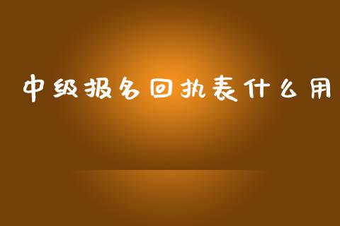 中级报名回执表什么用_https://cj.lansai.wang_会计问答_第1张