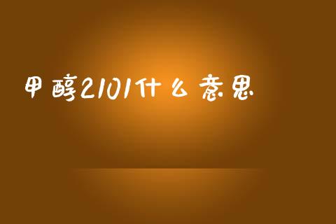 甲醇2101什么意思_https://cj.lansai.wang_会计问答_第1张