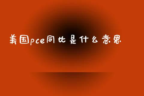 美国pce同比是什么意思_https://cj.lansai.wang_财经问答_第1张