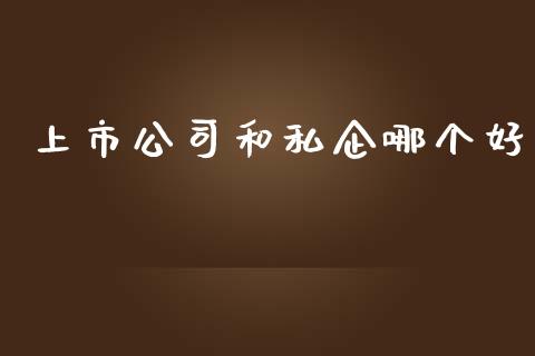 上市公司和私企哪个好_https://cj.lansai.wang_财经问答_第1张