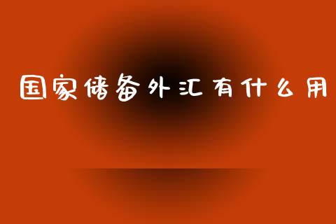 国家储备外汇有什么用_https://cj.lansai.wang_财经问答_第1张