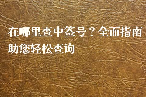 在哪里查中签号？全面指南助您轻松查询_https://cj.lansai.wang_会计问答_第1张