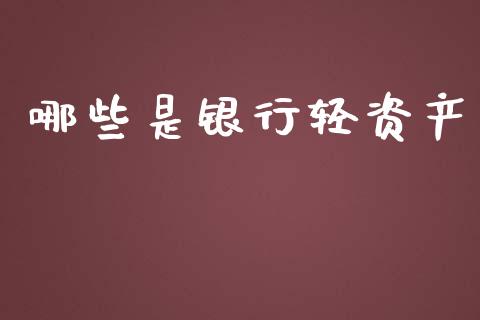 哪些是银行轻资产_https://cj.lansai.wang_理财问答_第1张