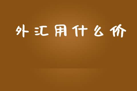 外汇用什么价_https://cj.lansai.wang_财经问答_第1张