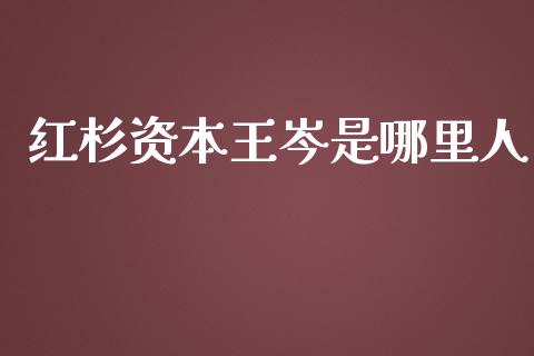 红杉资本王岑是哪里人_https://cj.lansai.wang_期货问答_第1张