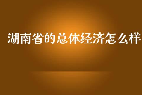 湖南省的总体经济怎么样_https://cj.lansai.wang_理财问答_第1张