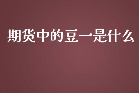 期货中的豆一是什么_https://cj.lansai.wang_会计问答_第1张