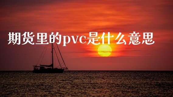 期货里的pvc是什么意思_https://cj.lansai.wang_财经问答_第1张