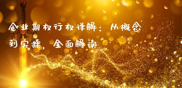 企业期权行权详解：从概念到实操，全面解读_https://cj.lansai.wang_财经问答_第1张