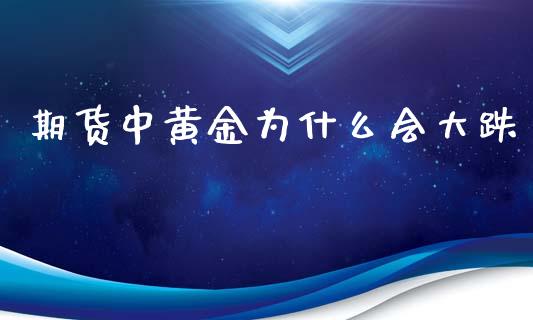 期货中黄金为什么会大跌_https://cj.lansai.wang_期货问答_第1张