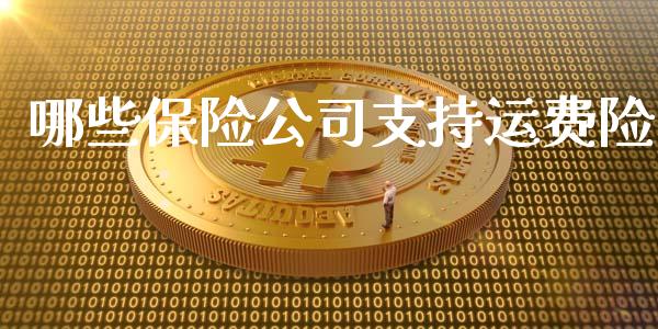 哪些保险公司支持运费险_https://cj.lansai.wang_金融问答_第1张