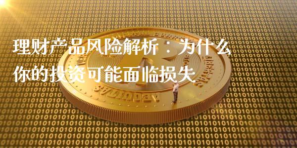 理财产品风险解析：为什么你的投资可能面临损失_https://cj.lansai.wang_财经百问_第1张