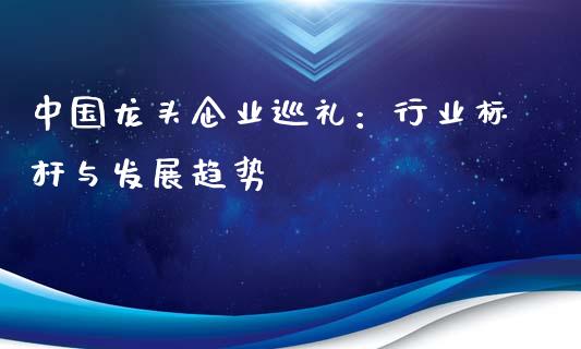 中国龙头企业巡礼：行业标杆与发展趋势_https://cj.lansai.wang_期货问答_第1张