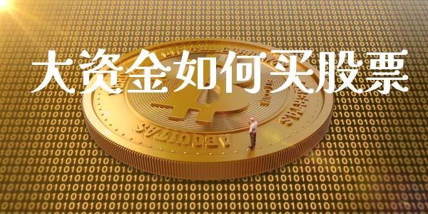 大资金如何买股票_https://cj.lansai.wang_金融问答_第1张