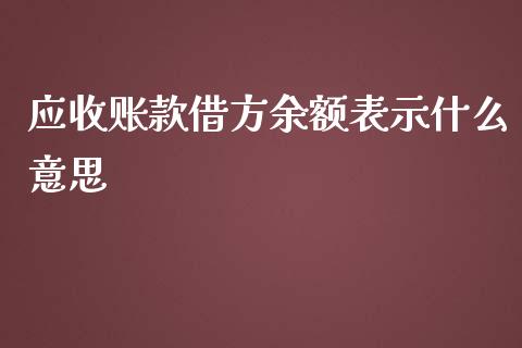 应收账款借方余额表示什么意思_https://cj.lansai.wang_会计问答_第1张