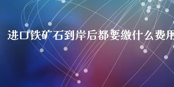 进口铁矿石到岸后都要缴什么费用_https://cj.lansai.wang_金融问答_第1张