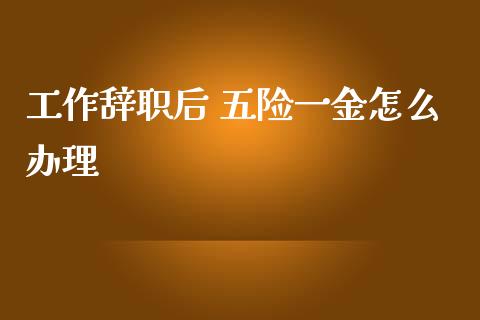 工作辞职后 五险一金怎么办理_https://cj.lansai.wang_保险问答_第1张