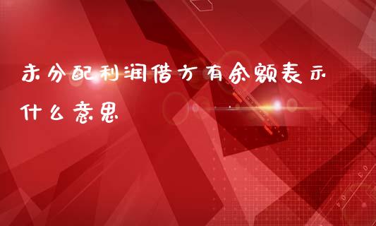 未分配利润借方有余额表示什么意思_https://cj.lansai.wang_会计问答_第1张