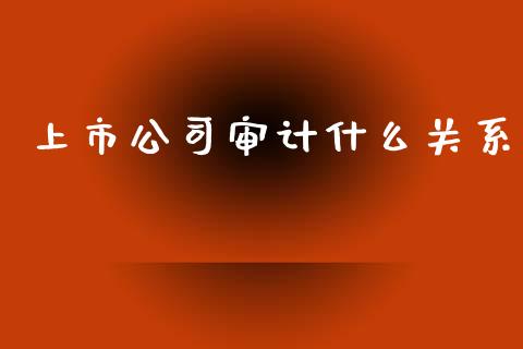 上市公司审计什么关系_https://cj.lansai.wang_会计问答_第1张