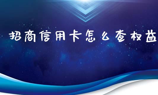 招商信用卡怎么查权益_https://cj.lansai.wang_金融问答_第1张