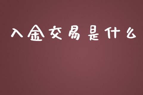 入金交易是什么_https://cj.lansai.wang_期货问答_第1张