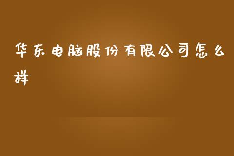 华东电脑股份有限公司怎么样_https://cj.lansai.wang_期货问答_第1张