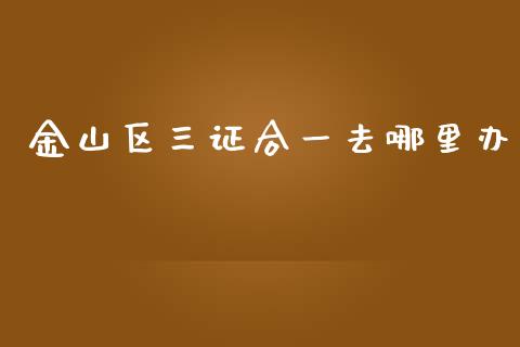 金山区三证合一去哪里办_https://cj.lansai.wang_期货问答_第1张