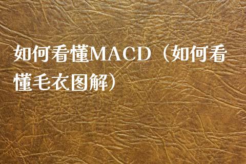 如何看懂MACD（如何看懂毛衣图解）_https://cj.lansai.wang_会计问答_第1张