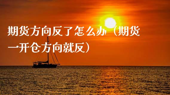 期货方向反了怎么办（期货一开仓方向就反）_https://cj.lansai.wang_期货问答_第1张