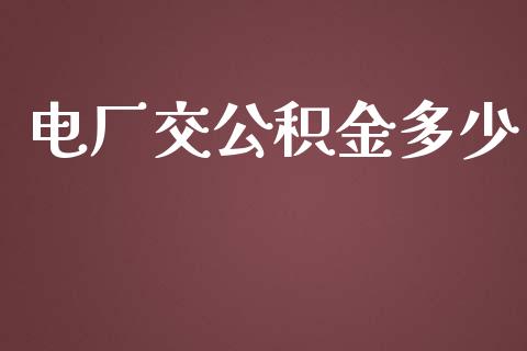 电厂交公积金多少_https://cj.lansai.wang_期货问答_第1张