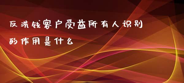 反洗钱客户受益所有人识别的作用是什么_https://cj.lansai.wang_期货问答_第1张