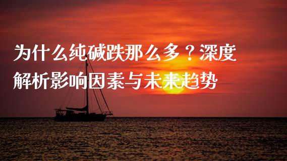 为什么纯碱跌那么多？深度解析影响因素与未来趋势_https://cj.lansai.wang_保险问答_第1张