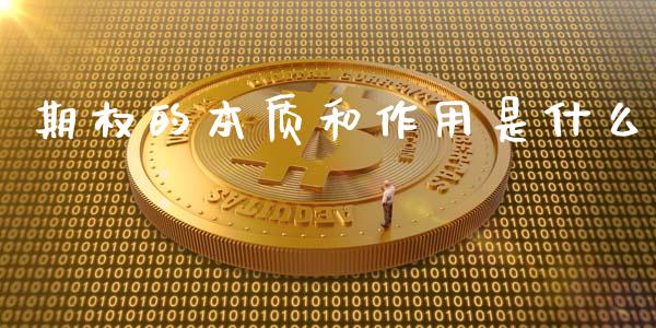 期权的本质和作用是什么_https://cj.lansai.wang_金融问答_第1张