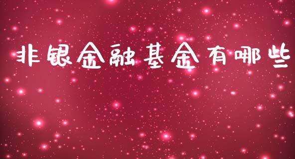 非银金融基金有哪些_https://cj.lansai.wang_期货问答_第1张