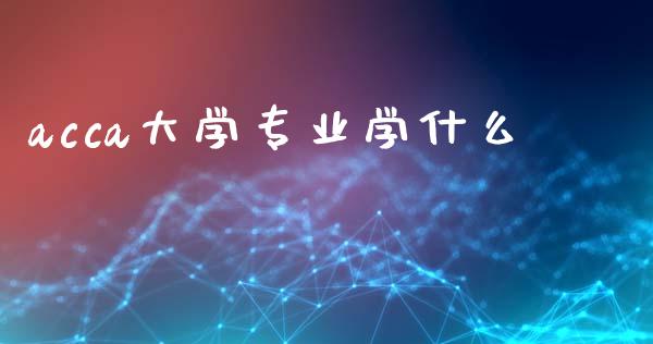 acca大学专业学什么_https://cj.lansai.wang_会计问答_第1张