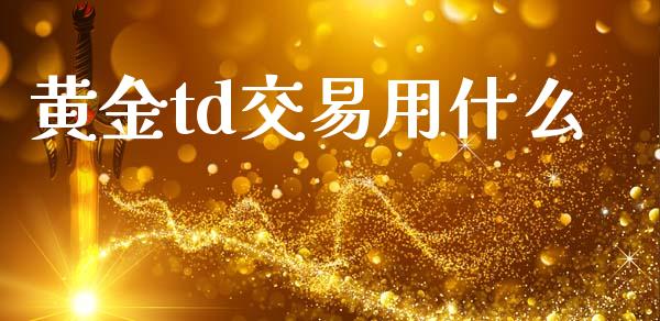 黄金td交易用什么_https://cj.lansai.wang_财经问答_第1张