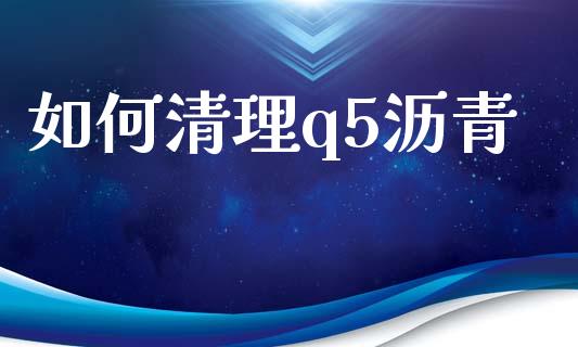 如何清理q5沥青_https://cj.lansai.wang_理财问答_第1张