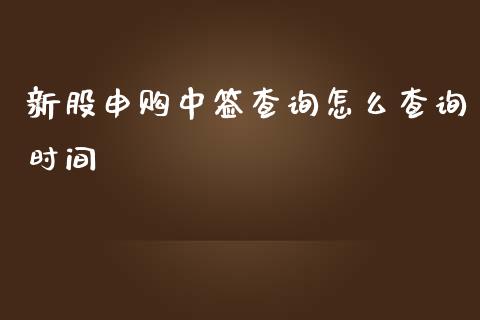 新股申购中签查询怎么查询时间_https://cj.lansai.wang_股市问答_第1张