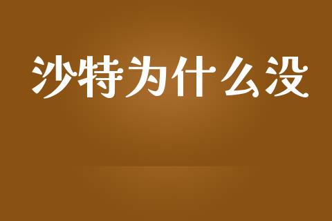 沙特为什么没_https://cj.lansai.wang_财经百问_第1张