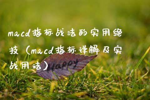 macd指标战法的实用绝技（macd指标详解及实战用法）_https://cj.lansai.wang_财经问答_第1张